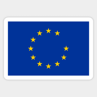 Anti Brexit flag Sticker